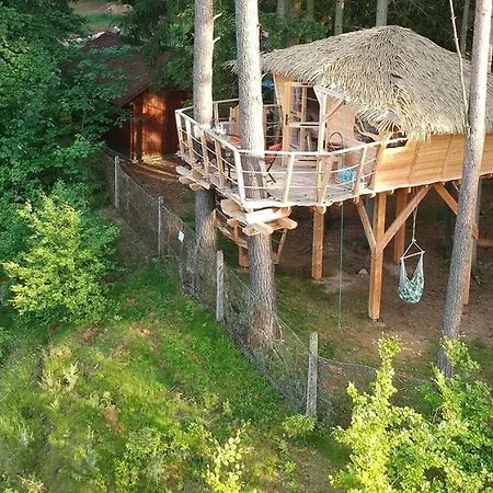 אתר קמפינג Treehouse U Rybnika Osecna