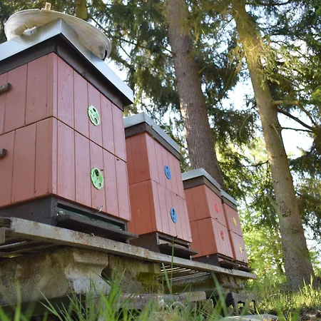 Treehouse U Rybníka Camping Osecna