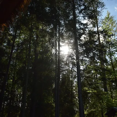 캠프장 Treehouse U Rybnika *