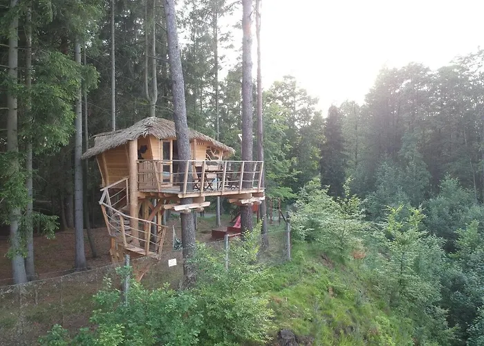 キャンプ場 Treehouse U Rybnika Osečná