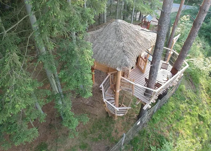 Treehouse U Rybnika キャンプ場