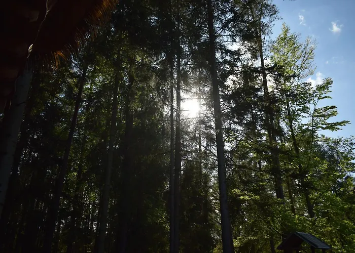 キャンプ場 Treehouse U Rybnika *